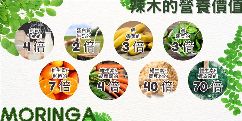 春大地,辣木酵素纖體（代餐包）