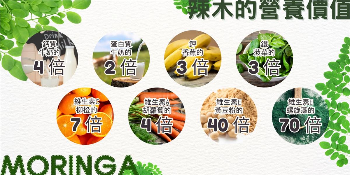 春大地,辣木鮮幹葉100g